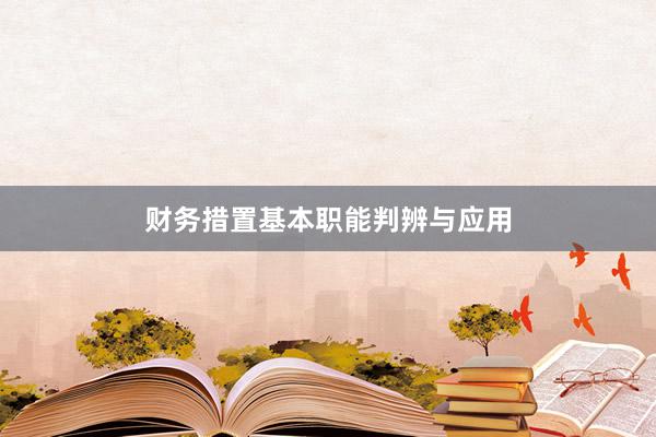 财务措置基本职能判辨与应用